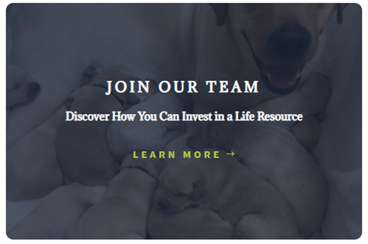 Rover Service Dogs - Join Our Team
